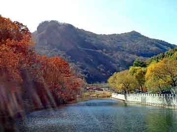 澳门二四六天天彩图库，免杀论坛